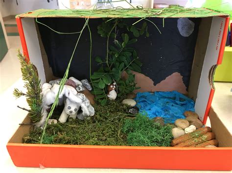 Habitat Diorama / How To Make A Habitat Diorama Using A Shoe Box And An ...