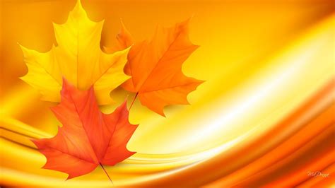 Autumn Maple Leaves Wallpapers - Wallpaper Cave