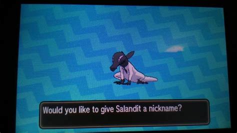 SHINY FEMALE SALANDIT [rare encounter after 50-100 encounters ...