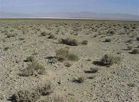 forms of rangeland degradation in representative geographic regions on... | Download Scientific ...