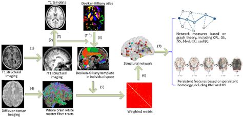 The workflow of brain network analysis based on graph theory and... | Download Scientific Diagram