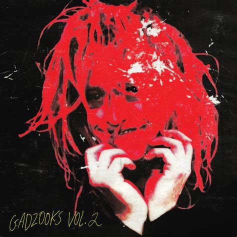 Album Review: Caleb Landry Jones - Gadzooks Vol. 2 - mxdwn Music