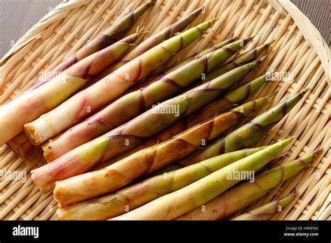 Bamboo Sprouts High Resolution Stock Photography and Images - Alamy