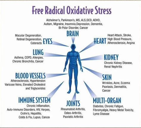 Oxidative Stress, Health Disease, Aging, Anti-Aging, Gene Activator, Nrf2Health And Business ...