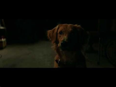 Happier-Marshmello(From the movie A dog's purpose) - YouTube