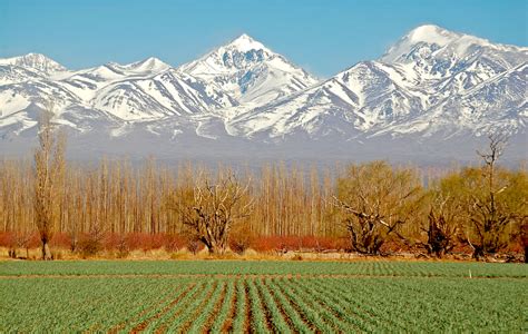 Things to do in the Mendoza Wine Region in Argentina | Chimu Adventures