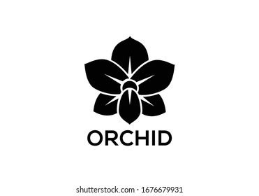 81,129 Orchid Stock Vectors and Vector Art | Shutterstock