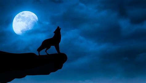 Wolf And Moon Wallpapers - Wallpaper Cave