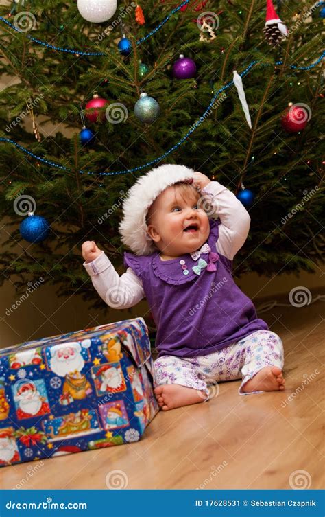 Baby Christmas tree stock image. Image of underneath - 17628531