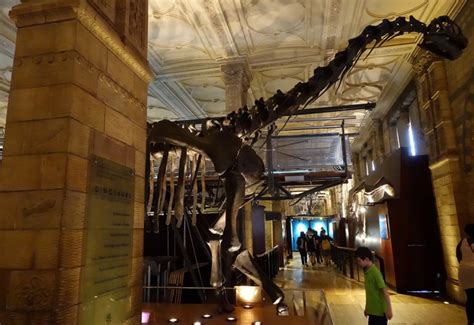 Review: London’s Natural History Museum Dinosaur Exhibit