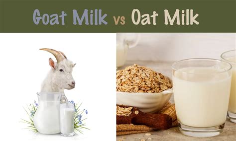 Goat Milk vs Oat Milk: Which is Better? - The Coconut Mama