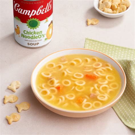 The new style has arrived BigMouth Inc Campbells Chicken Noodle Soup ...