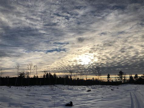 Winter Forest Landscape 17698121 Stock Photo at Vecteezy