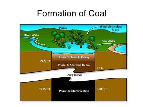 Coal