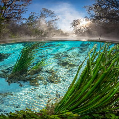 John Moran Florida Nature Photography / Home