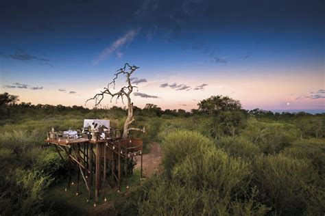 Lion Sands River Lodge | Sabi Sand Game Reserve | Kruger