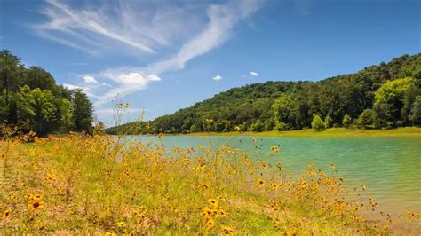 10 Best State Parks in Tennessee - NewHomeSource.com