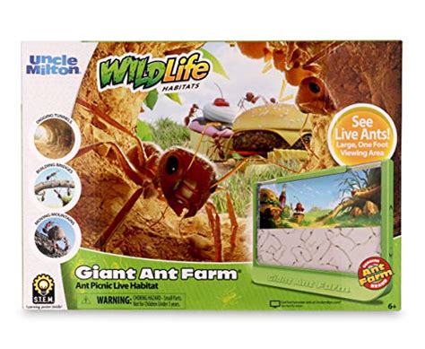 10 Best Ant Farm Sand – Review And Buying Guide – PDHRE