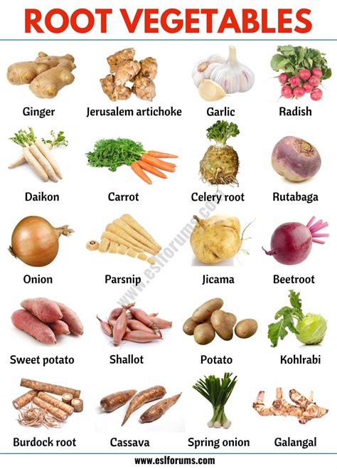 Root Vegetables: List of 20 Root Vegetables with ESL Picture! - ESL ...