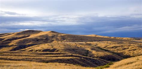 Northern Great Plains | NFWF