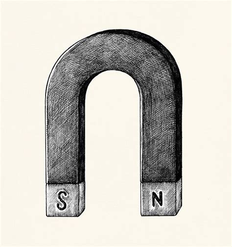 Hand-drawn horseshoe magnet illustration | free image by rawpixel.com | Horseshoe magnet, How to ...