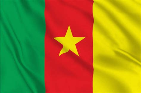 Report shows alarming level of anti-LGBTI violence in Cameroon