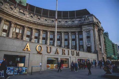 London Aquarium Review 2015 – Day out in London