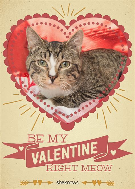 12 Kitty-cat Valentine’s Day cards that will make you aww – SheKnows