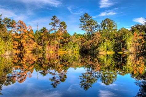 The Best Times And Places To View Fall Foliage In Florida | Fall ...