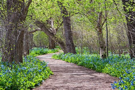 Exploring The National Scenic Trails In The United States - WorldAtlas