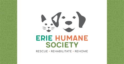 Adoptable Dogs | Erie Humane Society