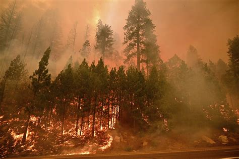 Massive Caldor Fire inching toward Lake Tahoe | Courthouse News Service