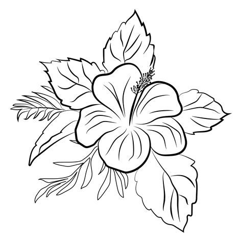 Premium Vector | Set of flowers. Vector flower drawing and sketch with ...