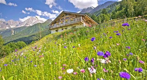 Brilliant Summer Holidays in the French Alps : The Good Life France