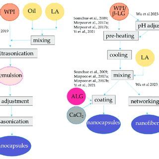 Steps to encapsulate lipophilic antioxidants into alginate-whey protein... | Download Scientific ...