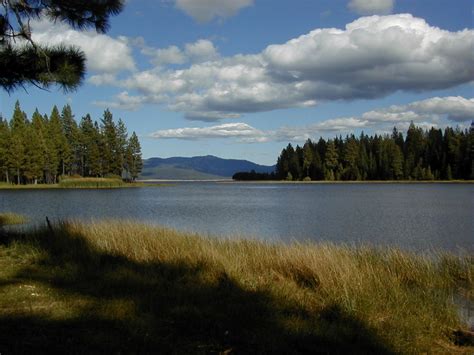 a lake surrounded by trees and grass under a blue sky with white clouds in the distance