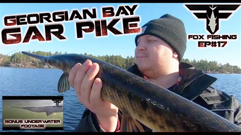 Fall Fishing MASSIVE Georgian Bay Gar Pike. **Bonus Underwater Footage** Fox Fishing 4K ULTRA HD ...