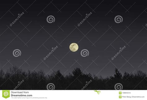 Full Moon Dark Forest Stock Photos - 3,023 Images