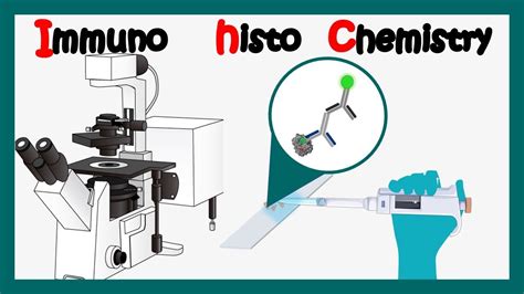 Immunohistochemistry | How to perform immunohistochemistry ...