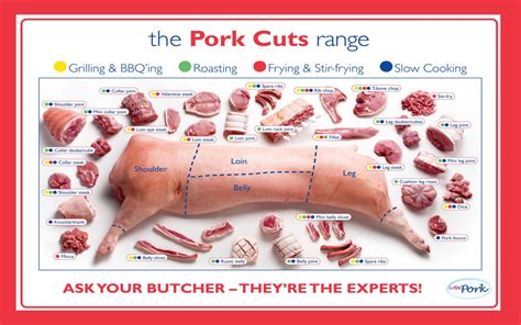 The Pork cuts range Infographic Chart 18"x28" (45cm/70cm) Poster