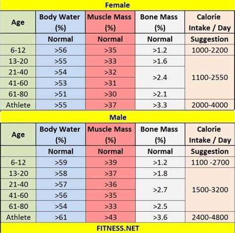 Everything about muscle mass percentage with charts - FITNESS SPORTS ...