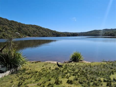 How To Catch Australian Bass | 13 Proven Tips By Pro Anglers