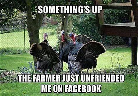 20 Hilarious Turkey Day Pictures, Cartoons, and Memes | Funny thanksgiving pictures ...