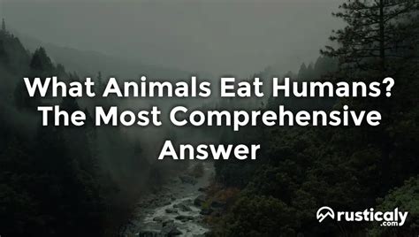 What Animals Eat Humans? The Most Comprehensive Answer