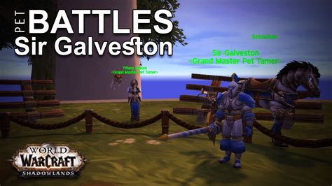 Pet Battles: Sir Galveston - Grahran's WoW Gold