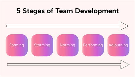 5 Stages of Team Development: Definition and Best Practices