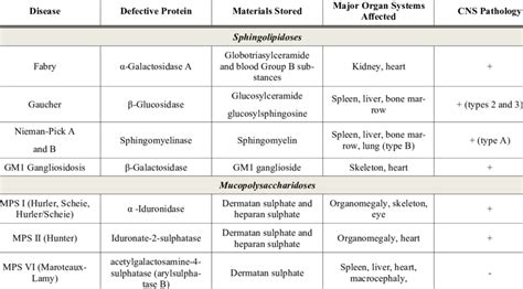 Lysosomal Storage Disease Test | Dandk Organizer