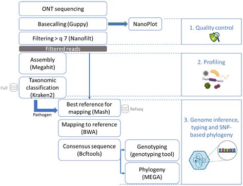 Foods | Free Full-Text | Metagenomics to Detect and Characterize ...