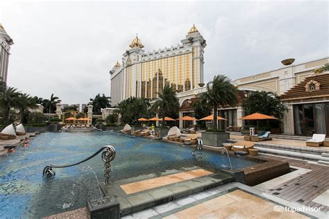 Banyan Tree Macau Pool: Pictures & Reviews - Tripadvisor