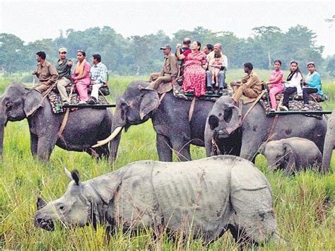 30 rhino poachers shot in northeast last year | Latest News India - Hindustan Times